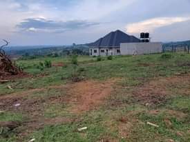 A picture of Plot