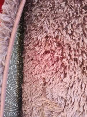 A picture of FLUFFY