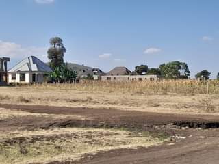 A picture of Kiwanja kinauzwa arusha kiserian jirani na Barabara mpya ya East