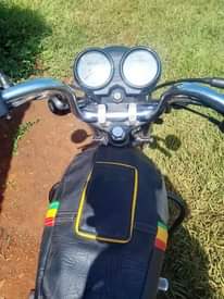A picture of Boxer100