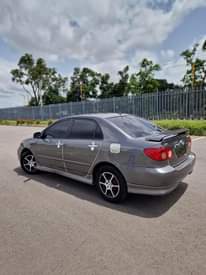 A picture of Toyota Corolla sports 2007