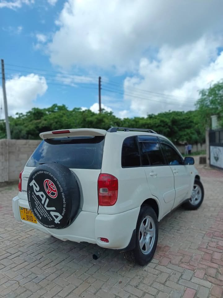 A picture of 2002 Toyota rav4