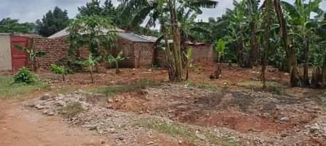 A picture of Mukono kalaji plot on quick sale