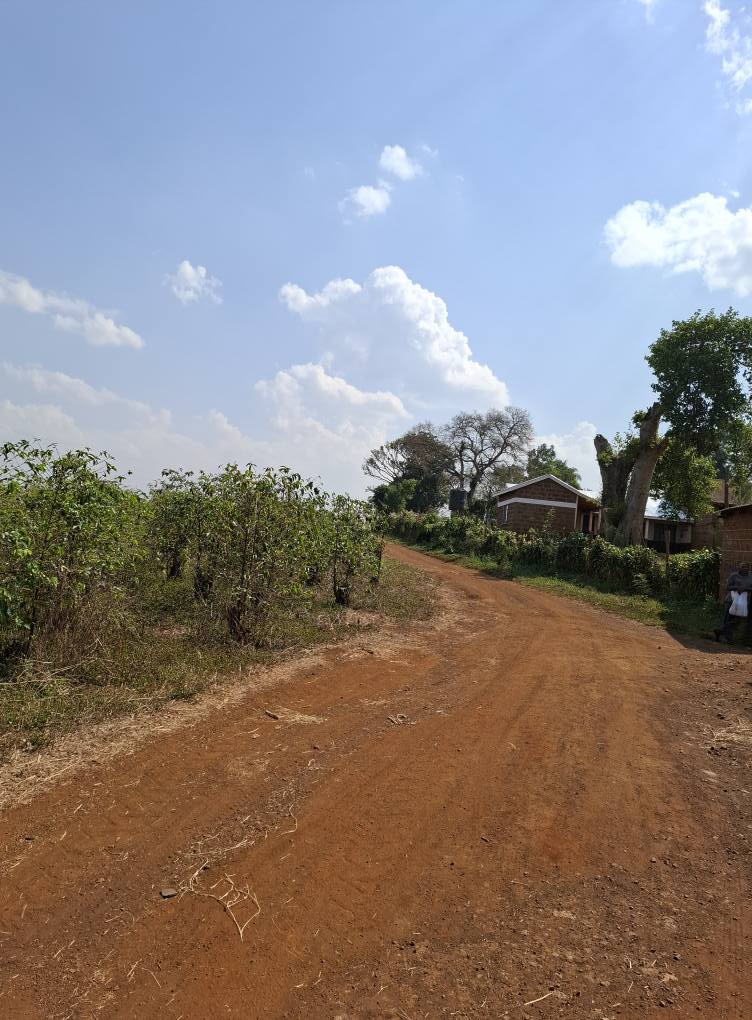kenya plots