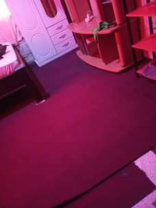 A picture of Capet