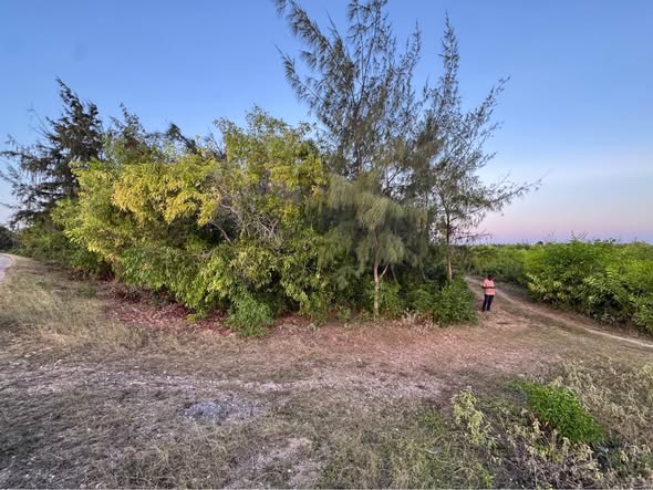 A picture of PREMIUM DEVELOPMENT LAND FOR SALE IN JAMBIANI ZANZIBAR