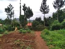 Ssemugooma R.