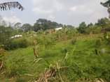 A picture of HALF ACRE ON SALE IDEAL FOR FARMING AND OTHER RELATED