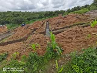 stand goromonzi