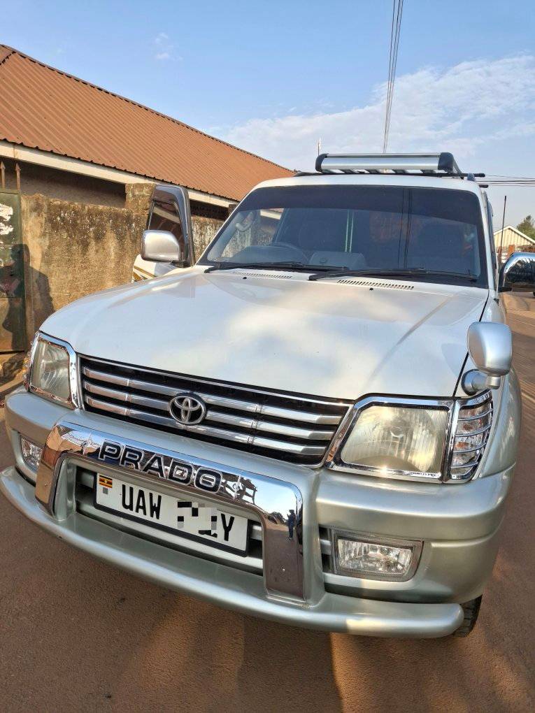 used toyota prado