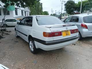 A picture of PREMIO OLD