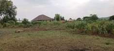 A picture of PLOT FOR SALE AT 13 MILLION UGX WITH READY TITLE