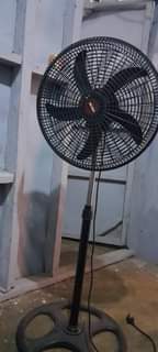 A picture of feni