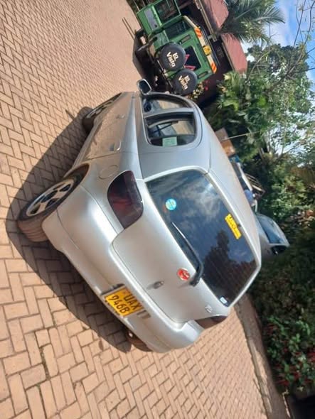 A picture of Vitz