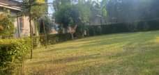 A picture of House for sale 4 Bedrooms toilets Sitting Dining Kitchen Store