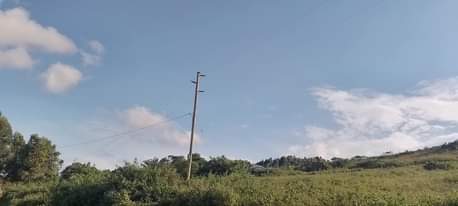 A picture of BUJUUKO TOWN