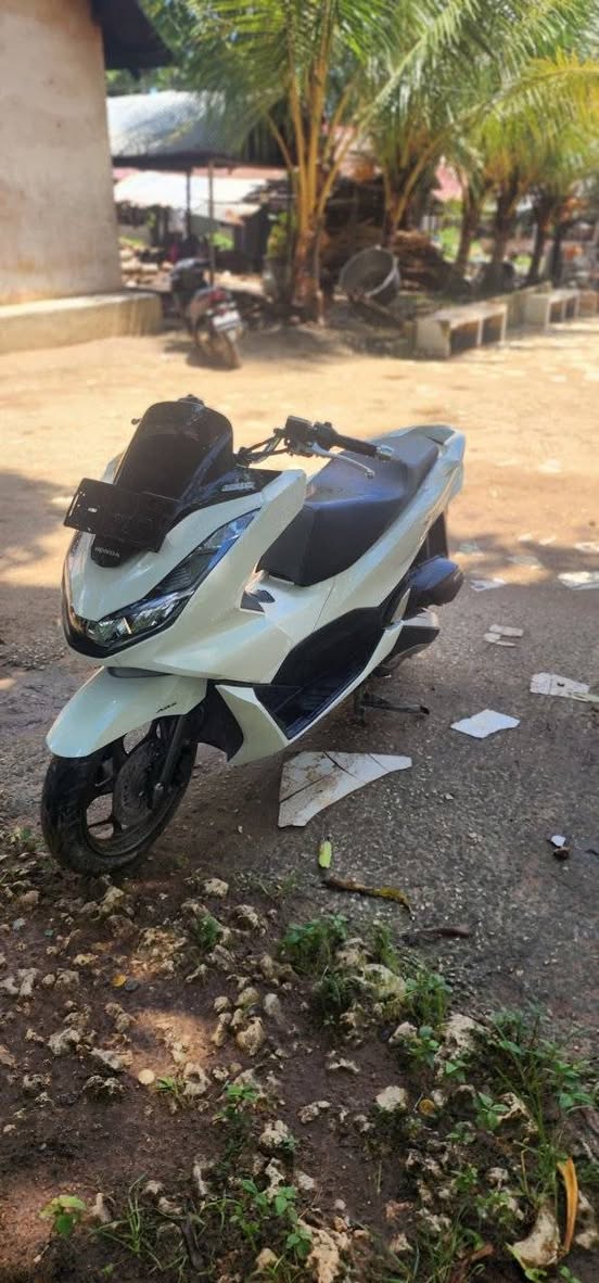 A picture of Pcx