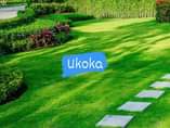 A picture of Maua Na Miti ya Mapambo 0753264404