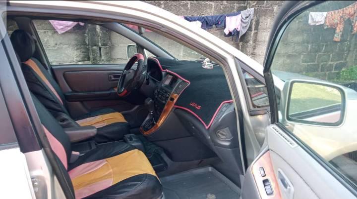 A picture of 2003 RX300 2003