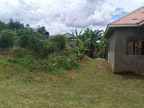 A picture of MAZIMA BISOBOKA get your own plot to day New site