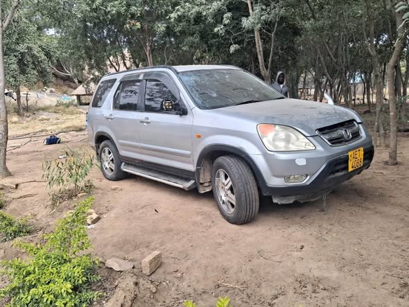 honda cr v