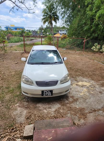 cars