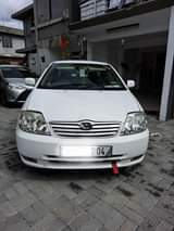 used toyota corolla