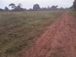 A picture of LAND