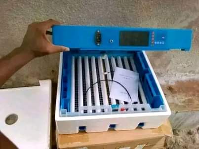 A picture of incubator
