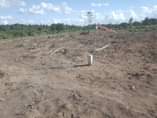 A picture of VINAUZWA LAKI 5 CALL 0786111796 0744740524