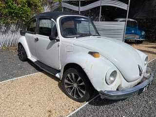 vw beetle