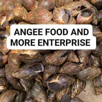 A picture of We will be drying 250 piece of snail for our