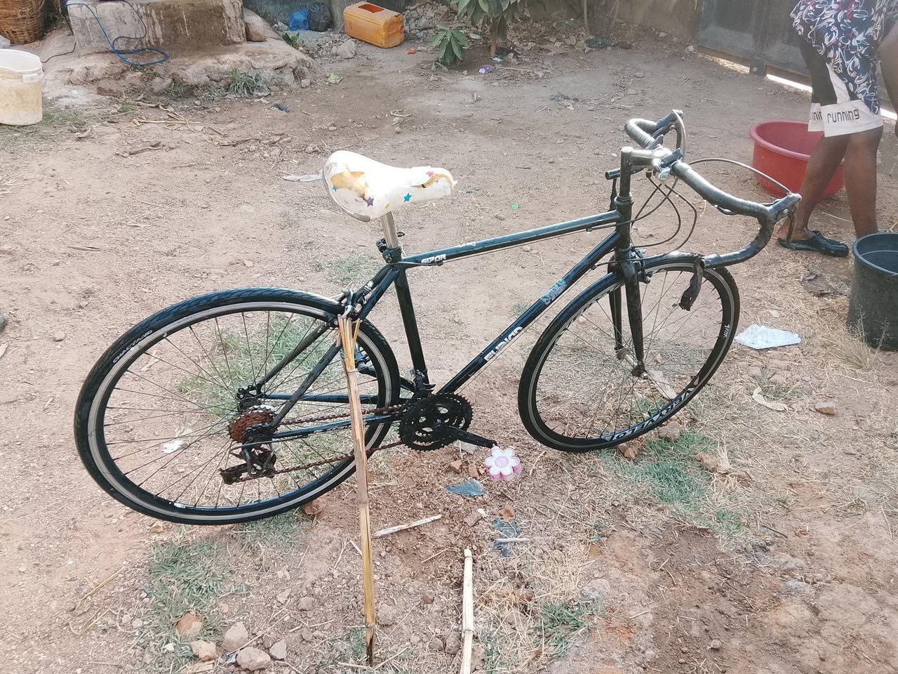 A picture of 2025 Speed master 2025