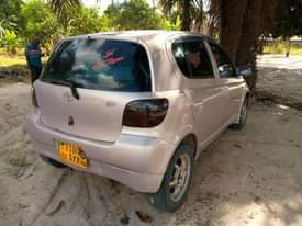 A picture of Vitz