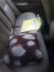 A picture of Toyota camry