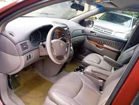 A picture of 06 sienna