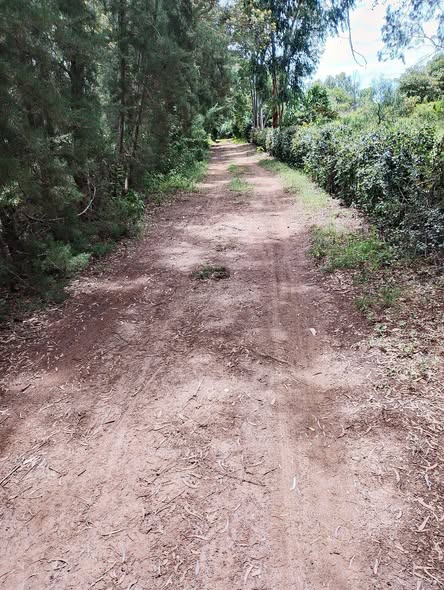 plots nanyuki