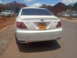 A picture of Speedsale 10 5m 0705835212