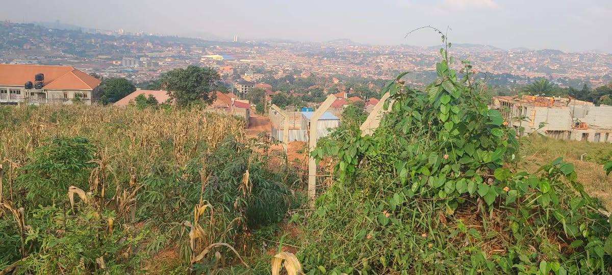 A picture of Prime titled land
