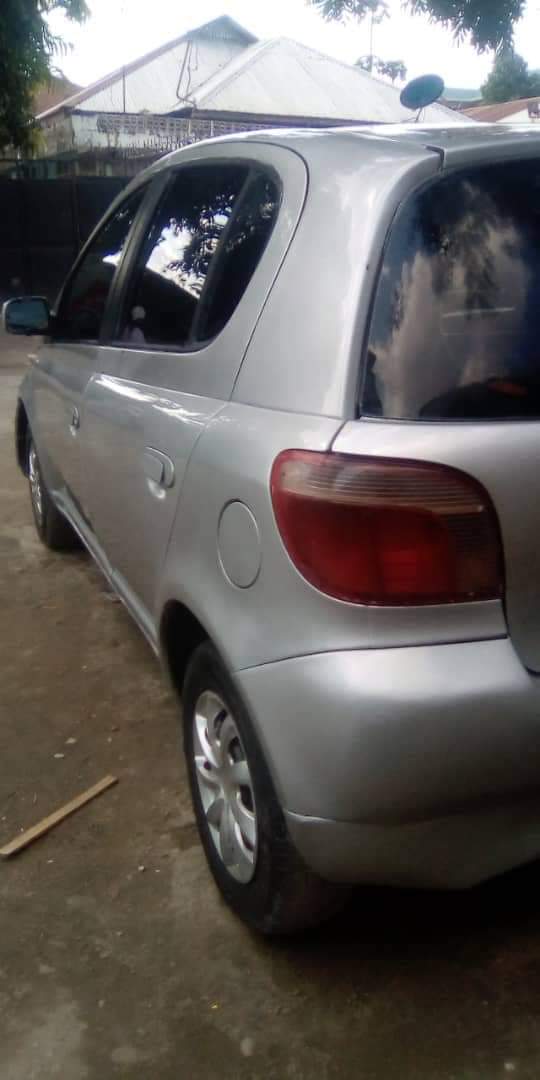 A picture of Vitz