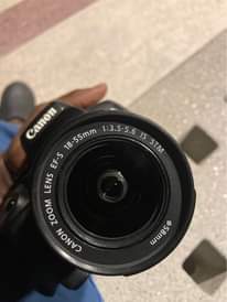 A picture of Canon 750D with two batteries and to charge