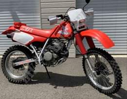 A picture of HONDA XR 250
