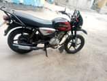 A picture of Boxer x 125