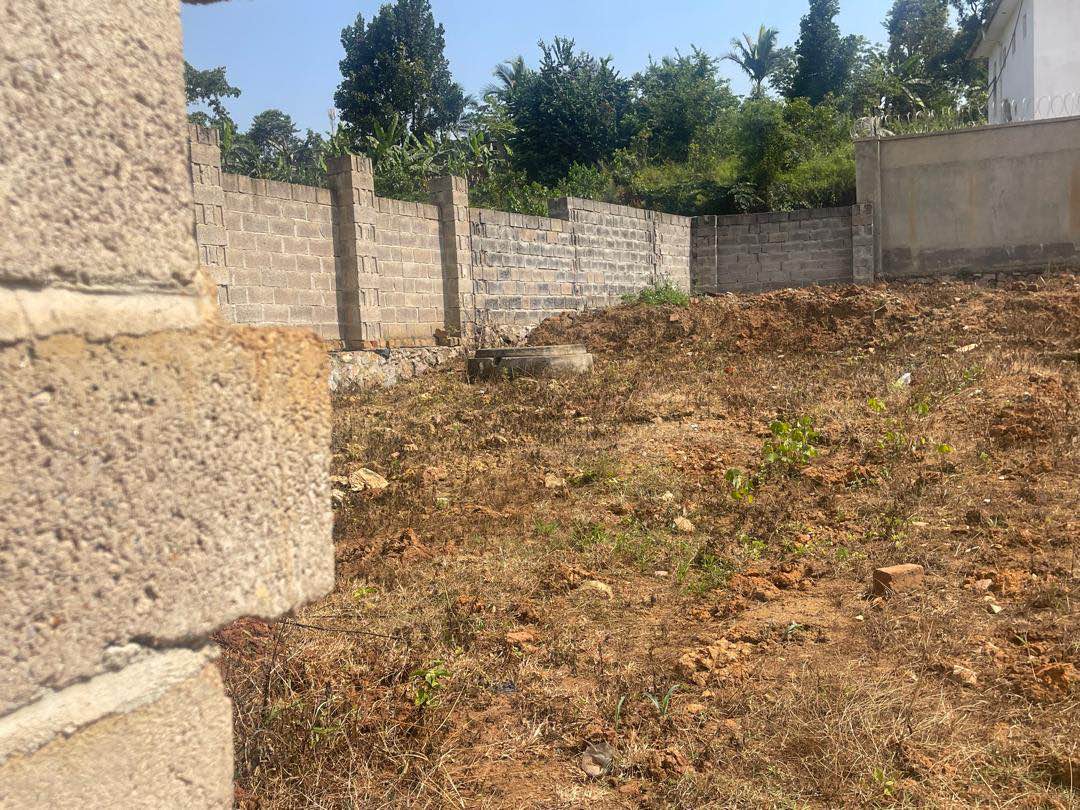 A picture of Plot