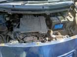 A picture of Vitz