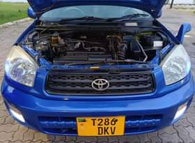 A picture of RAV4