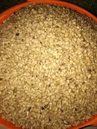 A picture of Weekend sale s We have ukwa both dried and fried
