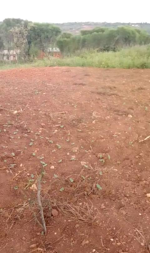 land