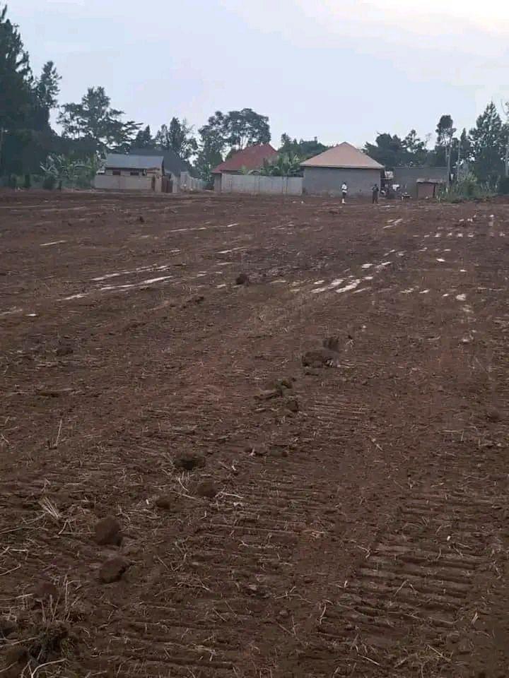 houses kira