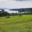 A picture of 50 Acres in Mukono Nkokonjeru Ssi Village